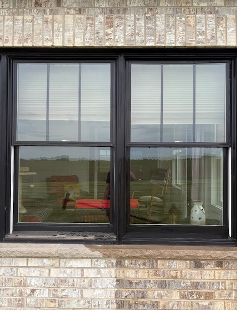 Finished residential exterior windows with dark frames and clear glass